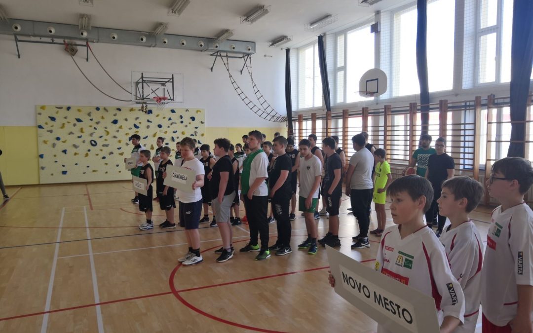 Področno tekmovanje v košarki 