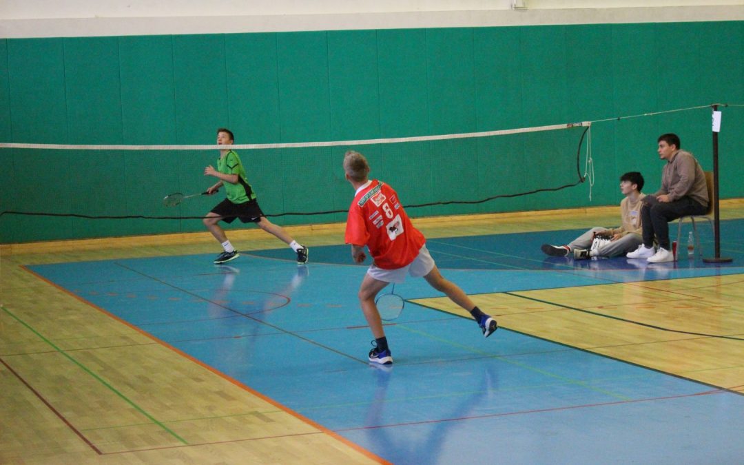 Državno tekmovanje v badmintonu