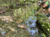 image_67527425
